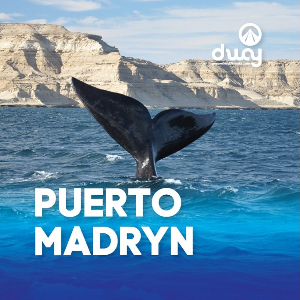puerto-madryn-feriados-junio-2024